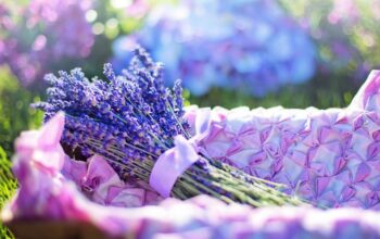 Benefits of lavender oil for skin
