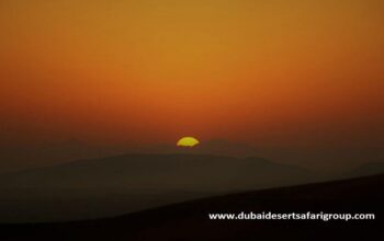 dubai desert safari